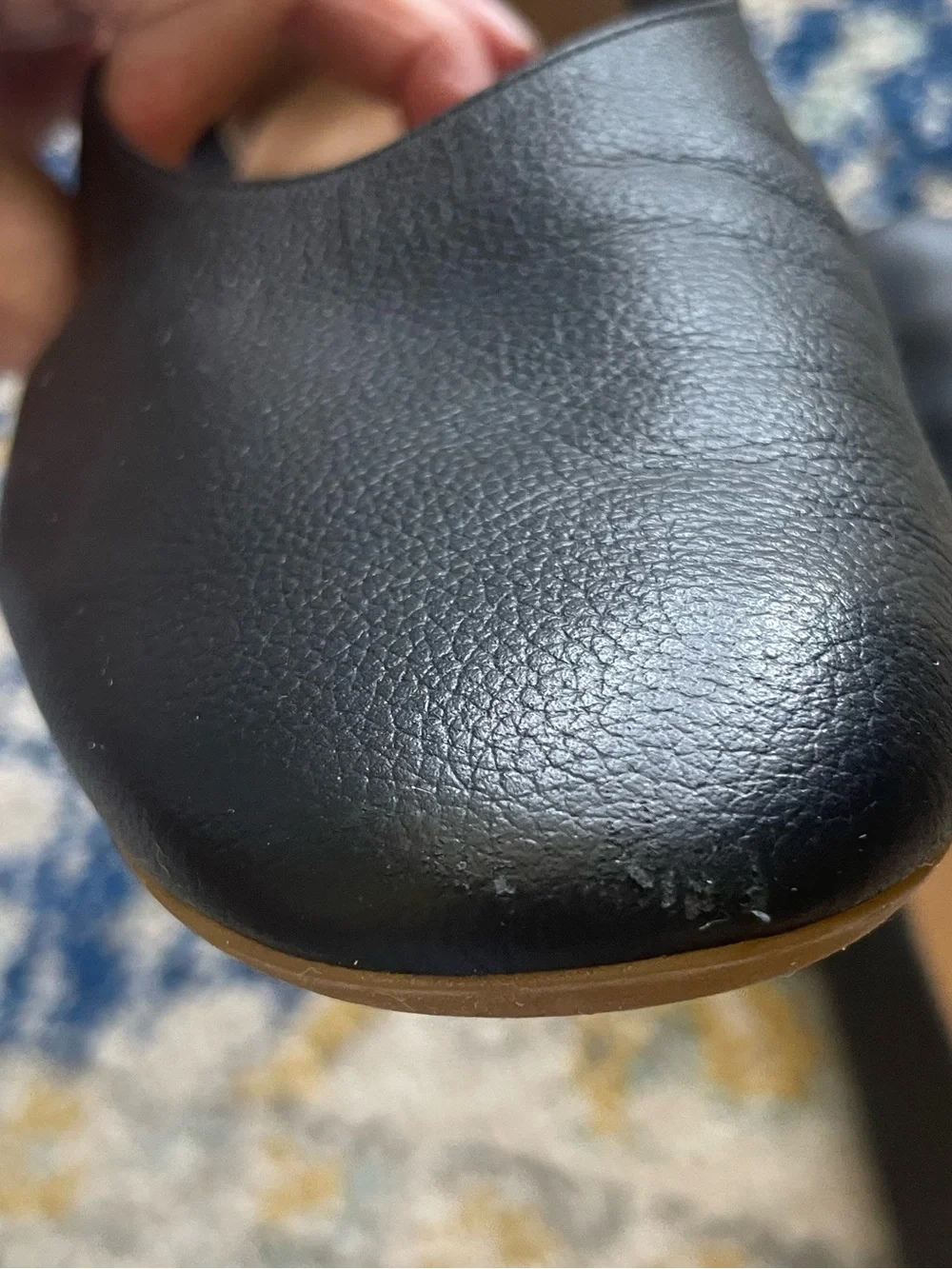 Everlane italian leather